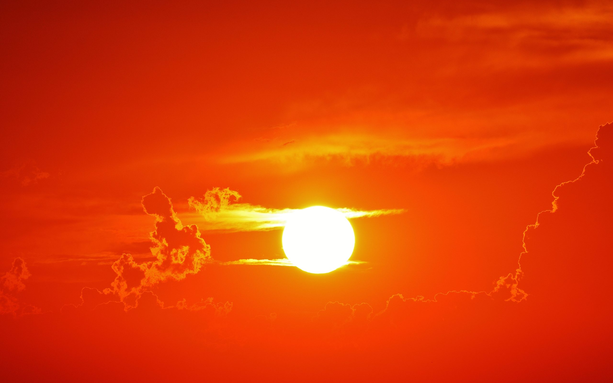 What the UK’s record-breaking heatwave reveals about governing in an age of climate crisis